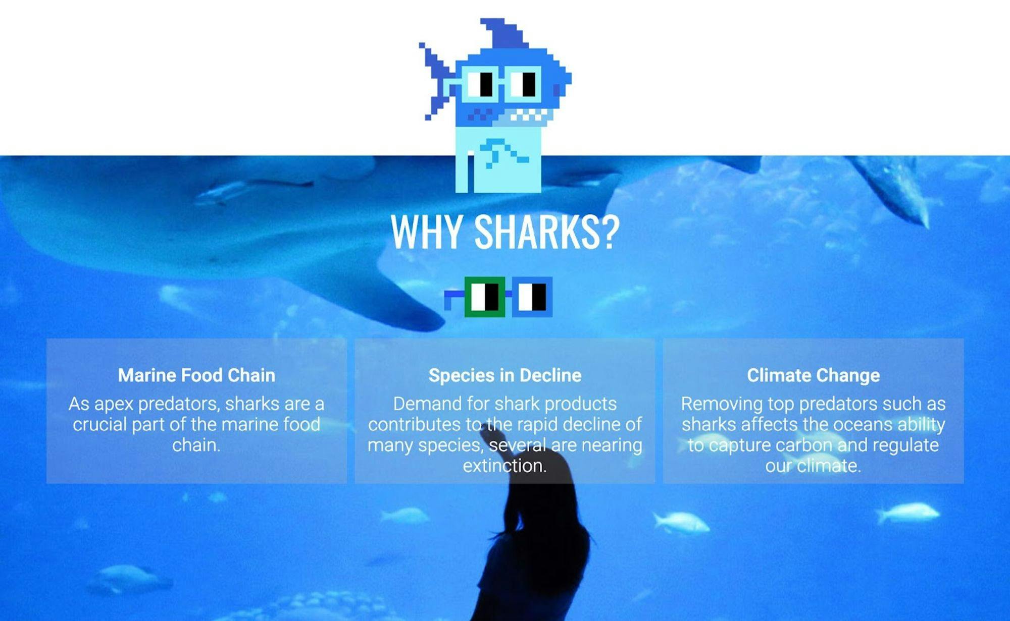 Save Shark w GreenNouns.jpg
